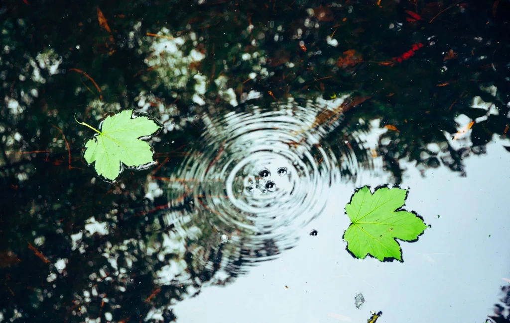 Ripple Effect