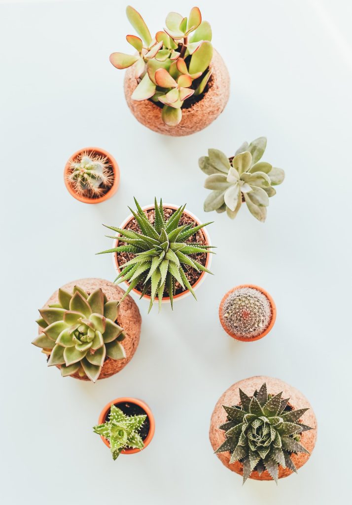 Three Lessons on Personal Growth