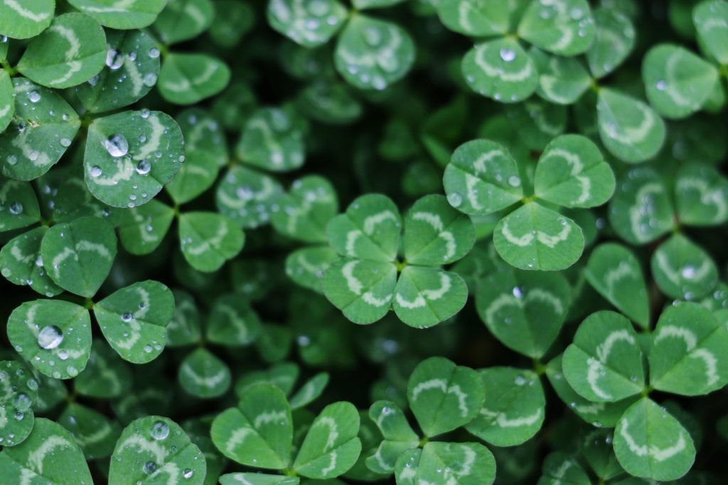 Feeling Lucky?