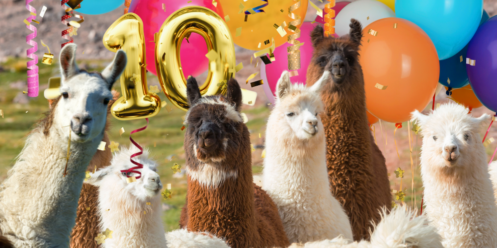 What’s With the Llamas? Celebrating 10 Years