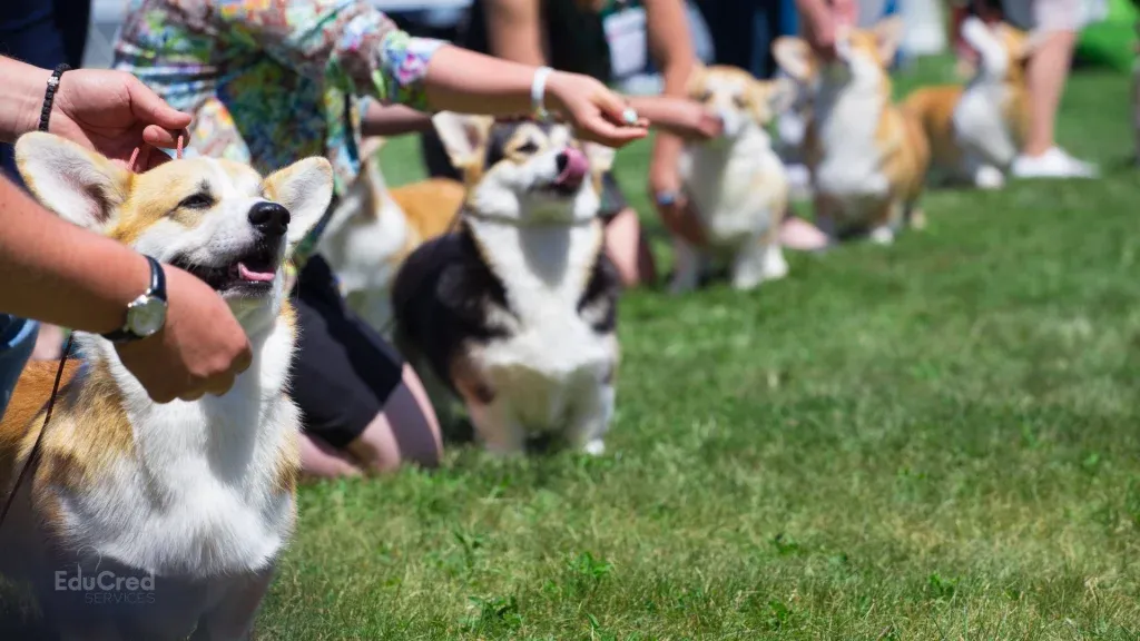 Best in Show: Preparing for a Middle States Site Visit